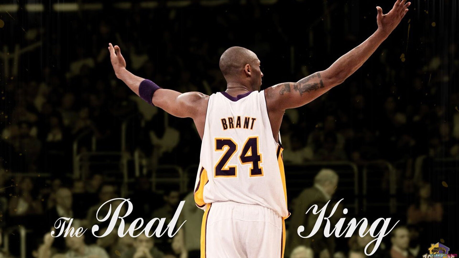 那个夜晚，霍勒迪让奇才二字有了全新的定义